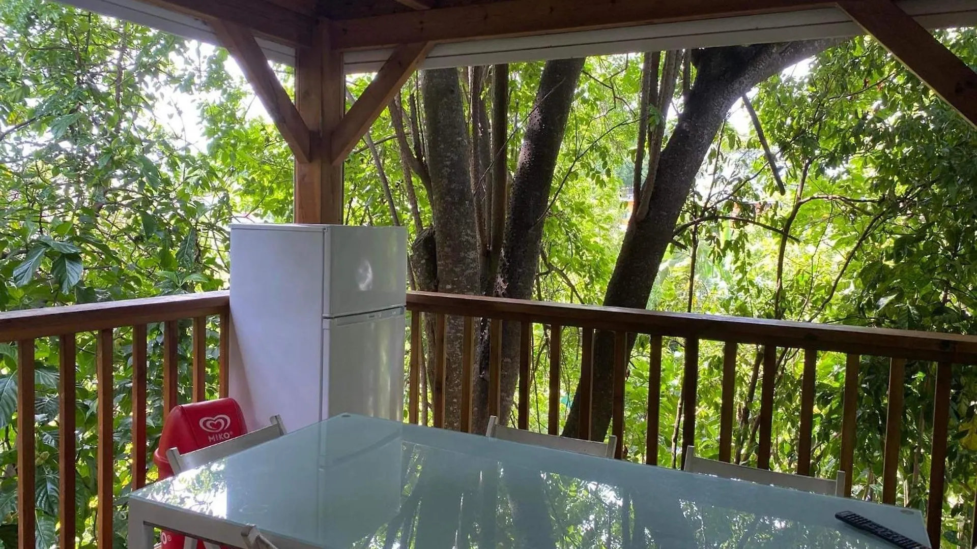 Chambre Simple Coloc Tropicale Sainte-Anne Guadeloupe